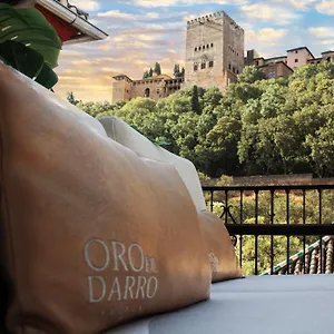 Bibo Oro Del Darro Granada